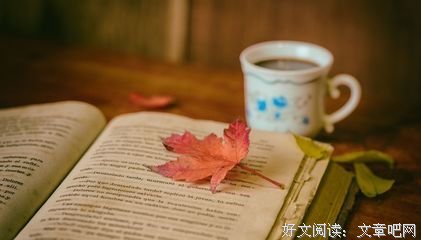 「叔声」 一定不要弄丢，那个满眼是你的人