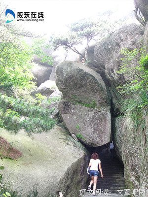 仙女蜜儿经典读后感有感