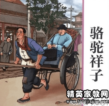《青山青史》读后感1000字