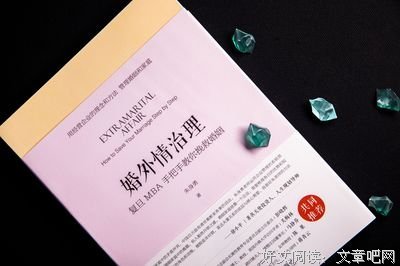 《婚姻保单》读后感精选