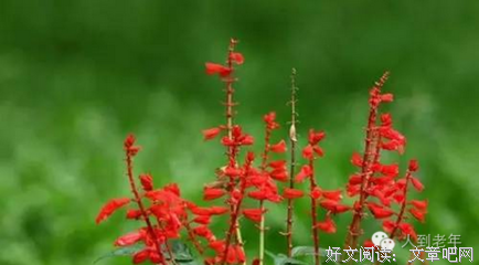 人这一辈子，就是个过程！（写得真好）