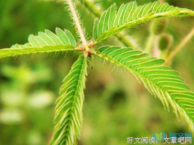 描写可想而知的经典句子