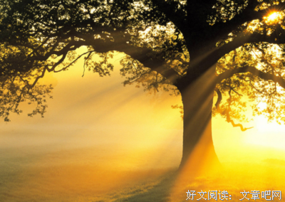 让步是一种人格魅力,不是怂