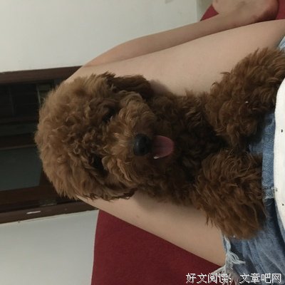 “结婚前，我和两个渣男睡过，来说说老公的第一反应。”