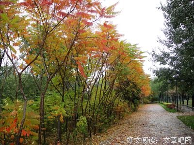 朗诵：以卑谦的心，行走尘世间