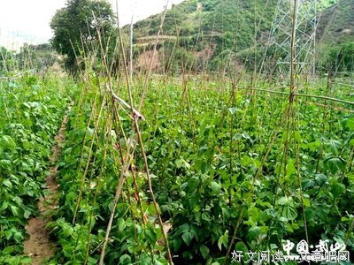 杨路：是什么让你的收入迟迟不见提高？