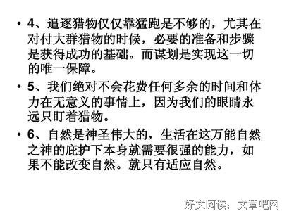 孤独的风中一匹狼。名句欣赏