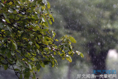 关于人不看哲雨的句子