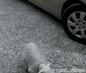 朋友圈暖到哭的瞬间：谢谢你，愿意用力抱紧我！