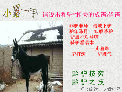 《农历》读后感锦集