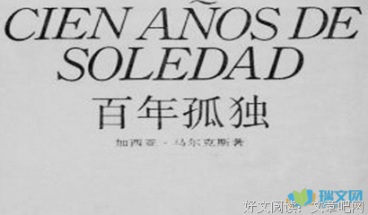 每一棵树都很孤独的读后感大全