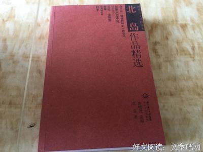 北岛作品精选读后感精选