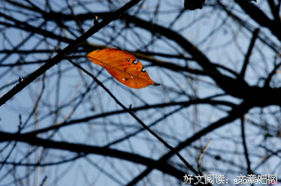 破除藩篱读后感精选