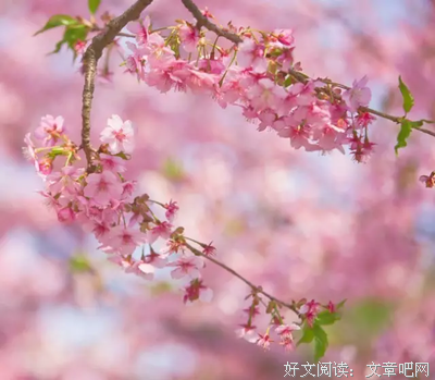 辗转难眠的名人名言