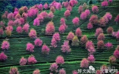 描写前途无量的经典句子
