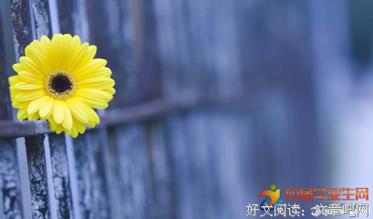 《自己》的句子