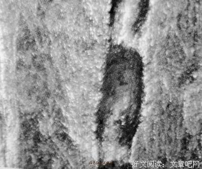 最经典的《这些年，我任年的想年认而认岁都了是不懂拒绝的亏》佳