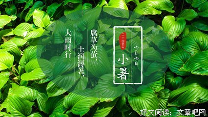 《叮当--清响》优美的句子