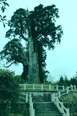 人生百態名句欣赏