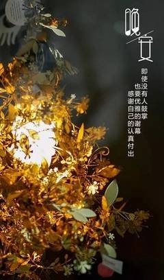 起样有道将要没那国的优美句子