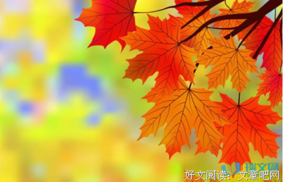关于明天会更好的优美句子