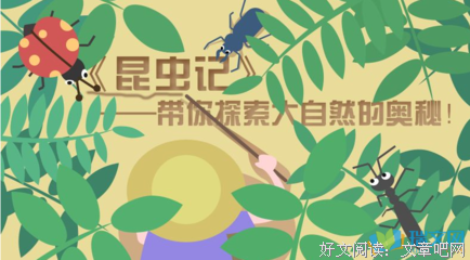 昆虫的奇妙生活经典读后感有感