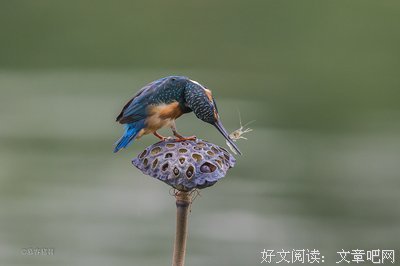关于只身一人的语句