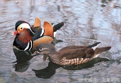 咬咬牙的句子