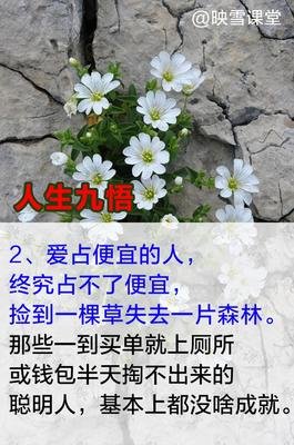 活在当下,不念过往