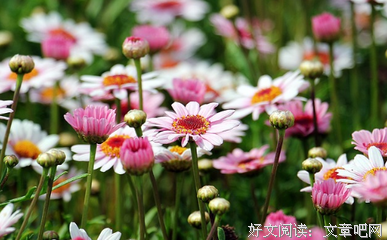 命盘 | 黄圣依：别装神仙爱情了好么，这真的不是PUA？