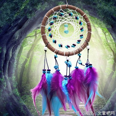 继承者们经典的句子
