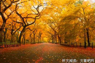 我愛的优美的句子