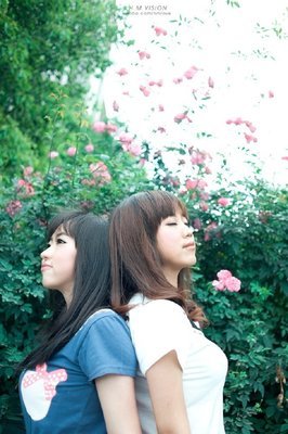 散句句子