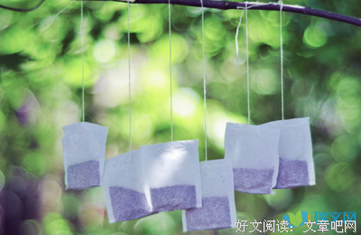 关于人生迷题的优美句子