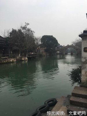 此情可待成追忆优美的句子