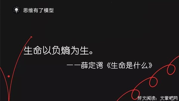 顿悟的时刻的读后感大全