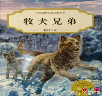《两兄弟》的读后感大全