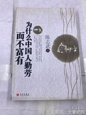 《为什么中国人勤劳而不富有》读后感100字