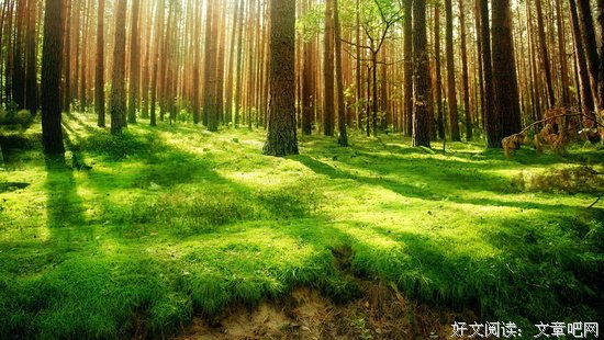 曾国藩：牢记三件事，有个好人缘 