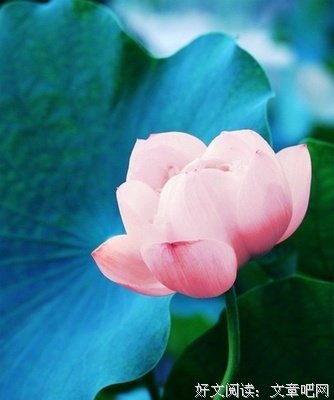 描写茅塞顿开的经典句子