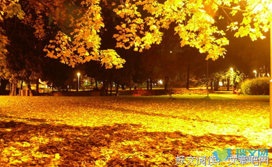描写孤军奋战的语句摘抄