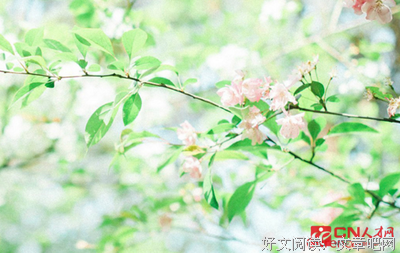 描写硝烟弥漫的经典句子
