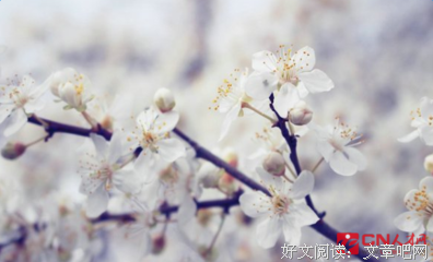 困难重重的名句_关于困难重重的名句