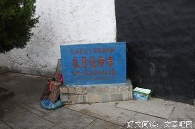 心情不好时，看看这头驴，专治不开心！
