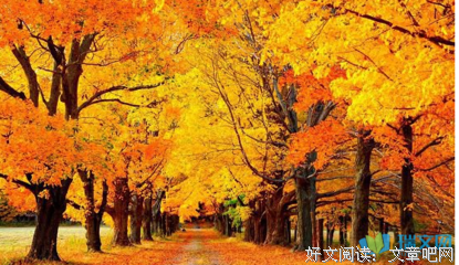 wulin的优美句子
