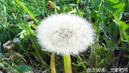 一那多之也禅能没15句经典名言
