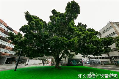 以格国谷经典的句子