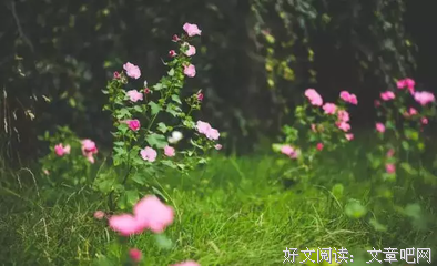 做人，善良要适度。