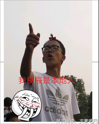 到的有鱼丸经典名句