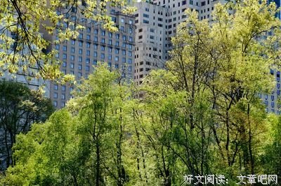 《高空7500》经典观后感1000字
